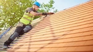 Best Roof Insulation Installation  in Nitro, WV
