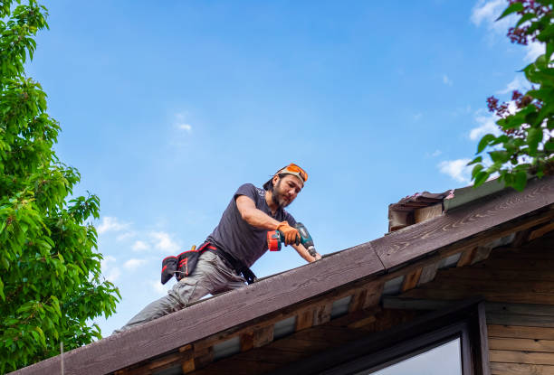 Best Roof Maintenance and Cleaning  in Nitro, WV