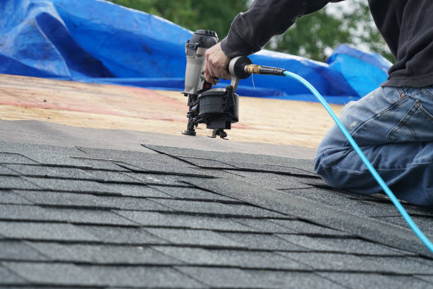 Best Gutter Replacement  in Nitro, WV