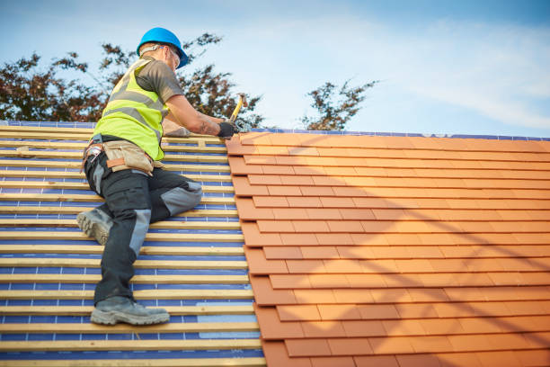 Best Cold Roofs  in Nitro, WV